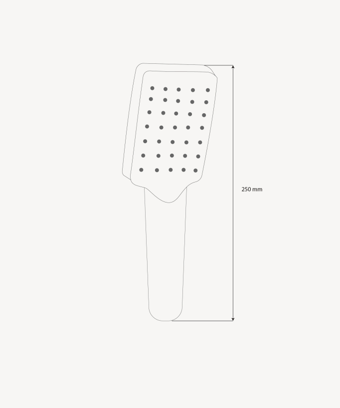 Douchette à main rectangle à deux jets